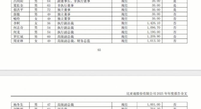 kaiyun下载 -比亞(yà)迪多(duō)位(wèi)高管年(nián)薪(xīn)迈入“千萬(wàn)级”，诞生A股首位(wèi)年(nián)薪(xīn)破千萬(wàn)CFO